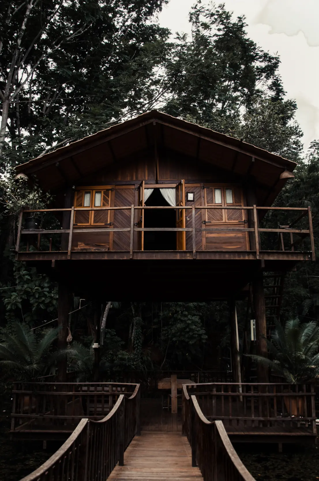 A Backyard Treehouse Builder with Real Construction Experience in Bellevue, WA